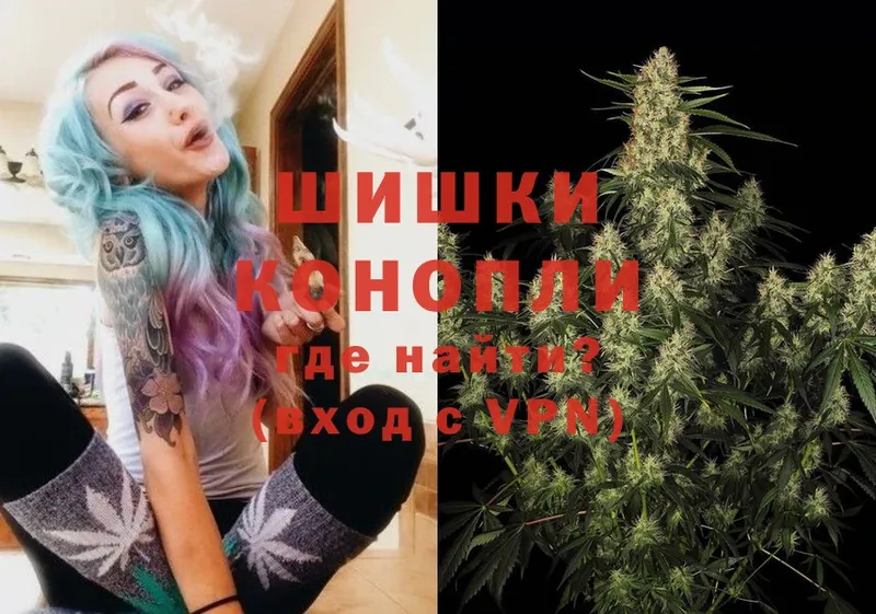 kraken онион  Электрогорск  Канабис OG Kush 